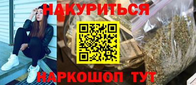 трава Гатчина