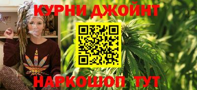 трава Гатчина