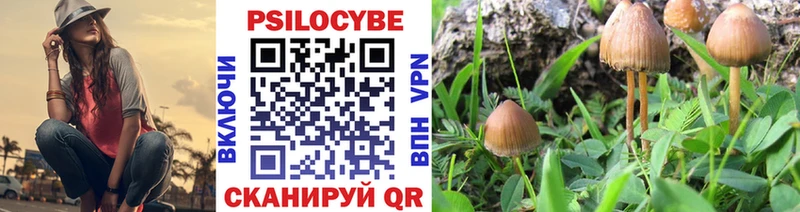 Псилоцибиновые грибы Magic Shrooms  купить наркотики цена  Канск 