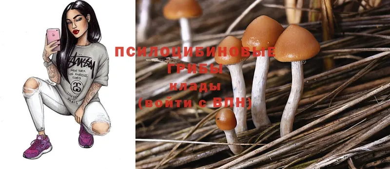 Псилоцибиновые грибы MAGIC MUSHROOMS  Канск 