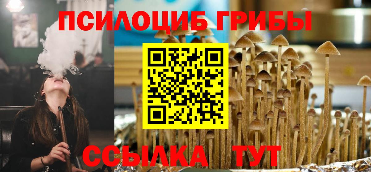 Канск  Галлюциногенные грибы Psilocybe  Галлюциногенные грибы мухоморы  Вход с VPN 