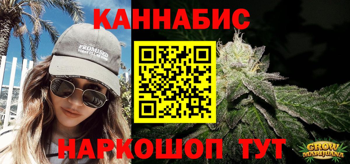 Шишки марихуана OG Kush Канск